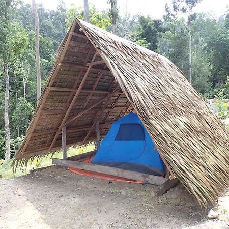 Tentstar Eco Resort سان فيسنتي المظهر الخارجي الصورة